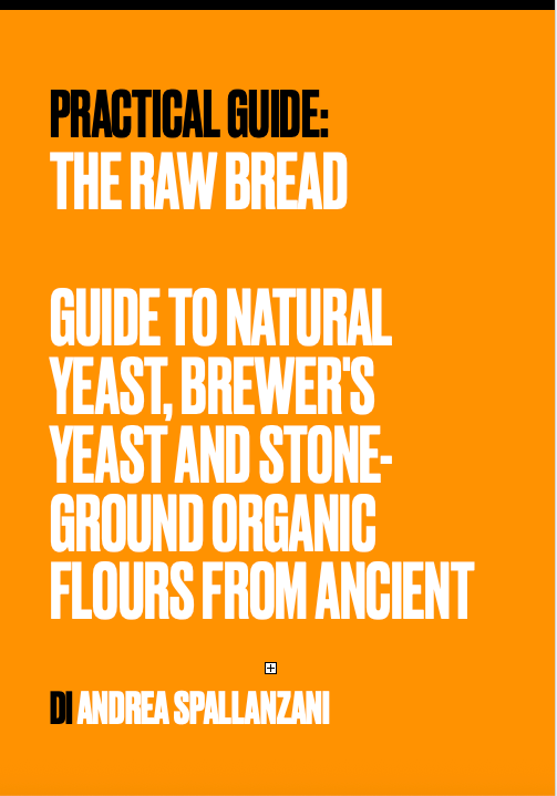 Il Pane Vivo – Ebook sulla panificazione artigianale con lievito madre